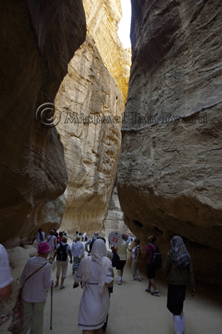 Petra approach through narrow canyon